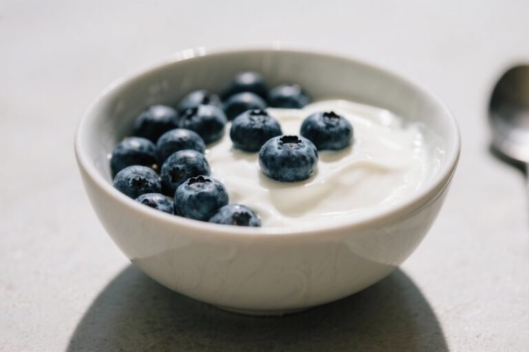 Blueberry Greek Yogurt Bowl – Simple, Fresh, and Satisfying